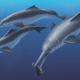 Illustration for article titled These Ancient Dolphins Show That Dolphins Have a Complicated History